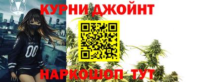 крисы Ирбит
