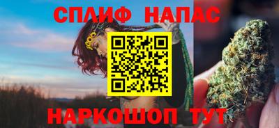 крисы Ирбит