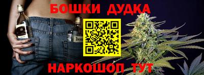 индика Изобильный