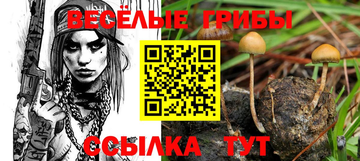 Кондопога  Псилоцибиновые грибы прущие грибы  Псилоцибиновые грибы Magic Shrooms  Вход с VPN 
