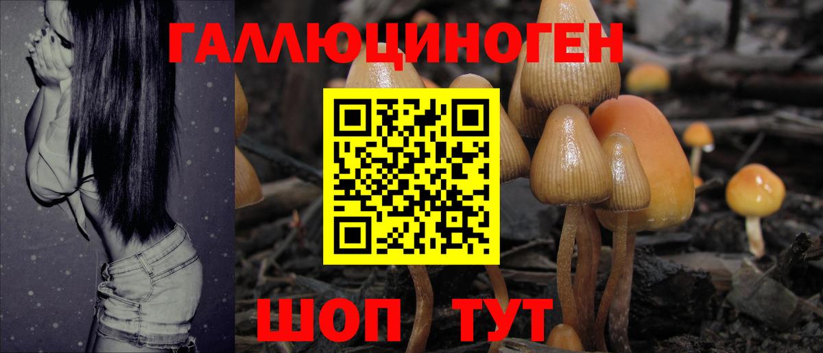 Галлюциногенные грибы MAGIC MUSHROOMS Кондопога